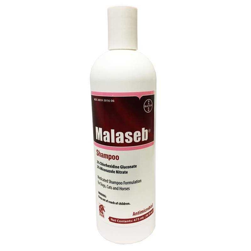 Shampoo 16 oz K796