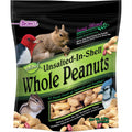 Unsalted In-Shell Whole Peanuts Bird Food R7848