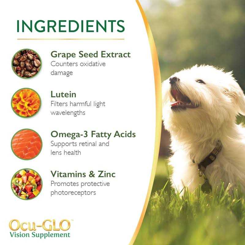 Vision Supplement for Small Dogs V553649