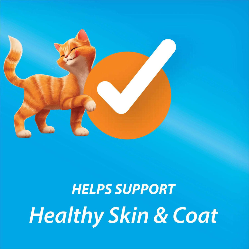 Dry Cat Food I697