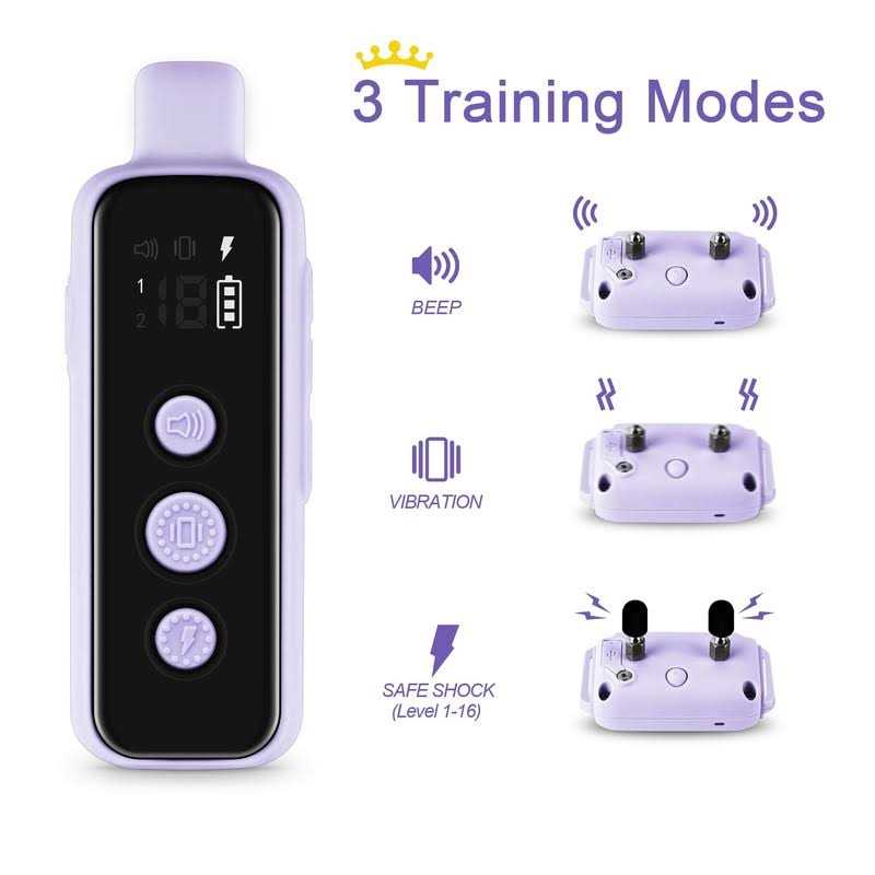Waterproof Rechargeable Electric Dog Training Collar with Remote R331