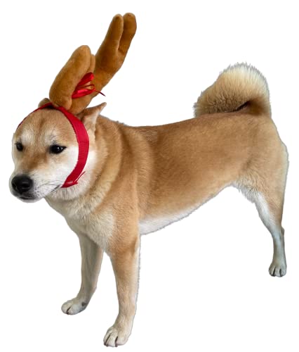 Reindeer Antler Dog Halloween Costume M769