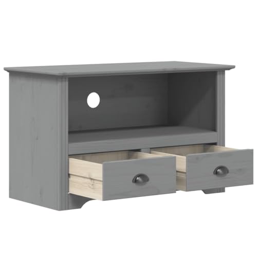 Gray Solid Wood Pine TV Stand with 2 Drawers L96651