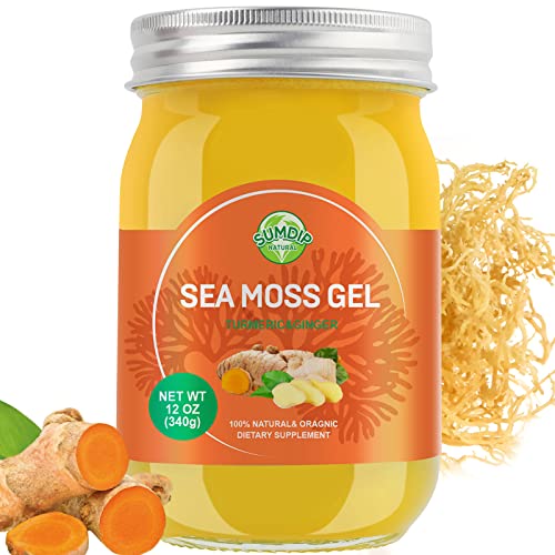 Organic Raw Sea Moss Gel Turmeric 12oz N4014