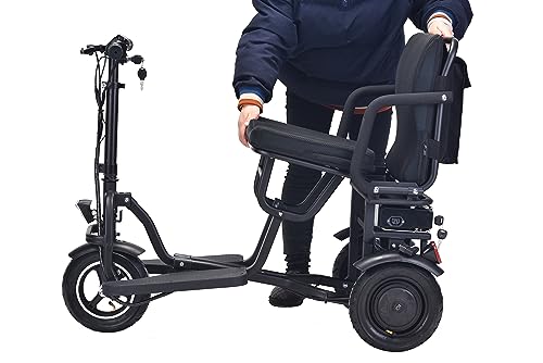 48v 700w Dual Motor Lithium Battery Folding Electric Scooter B219