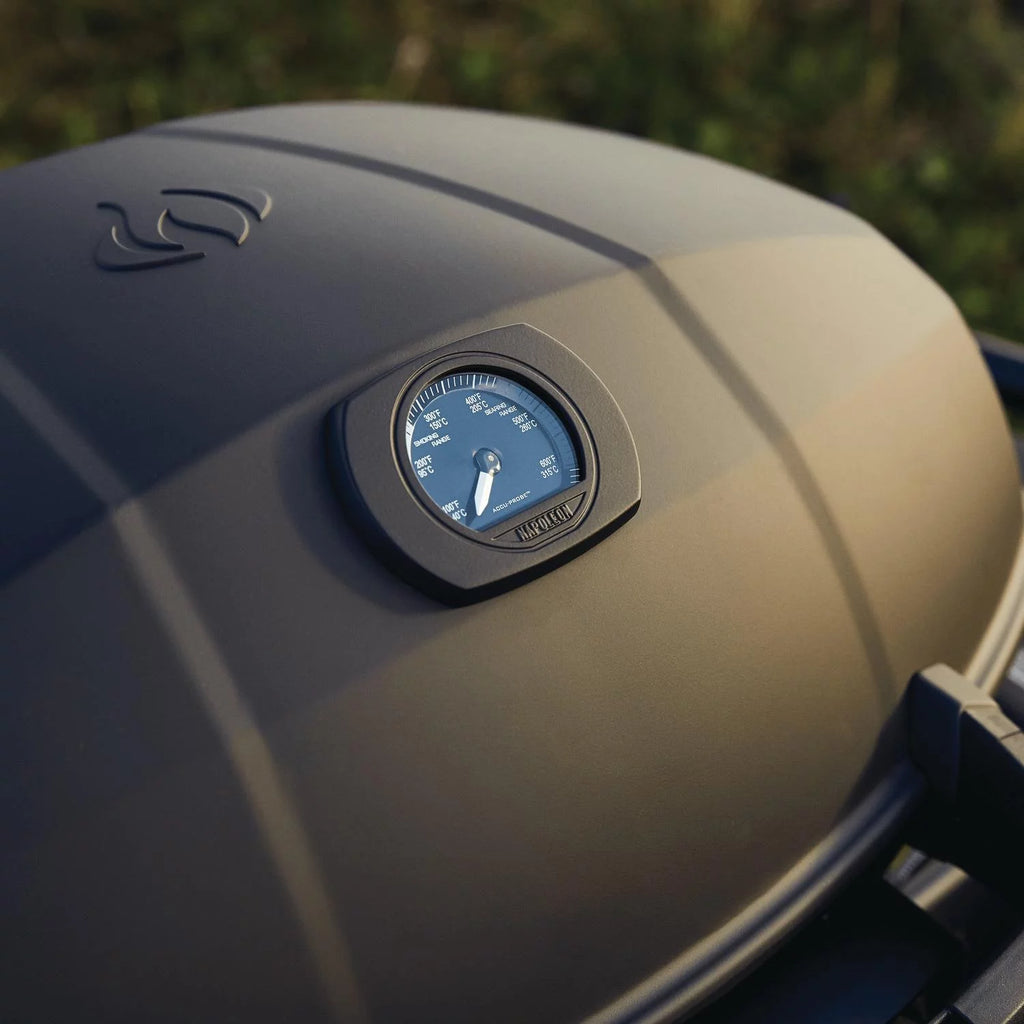 Matte Black Portable Propane Gas Grill B145409