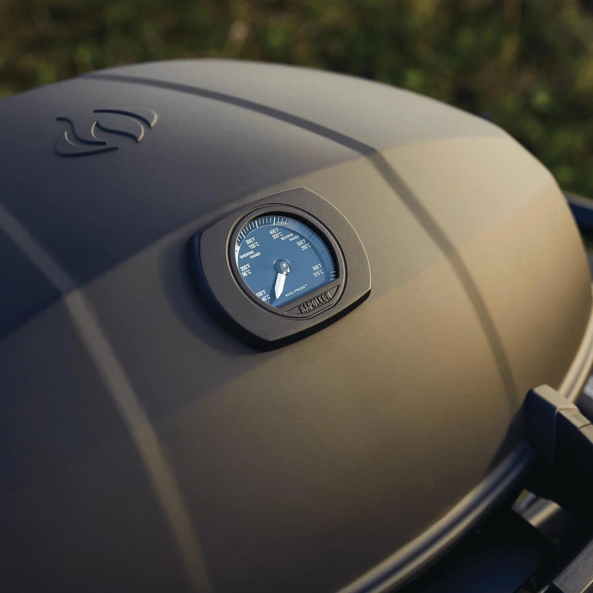 Matte Black Portable Propane Gas Grill B145409