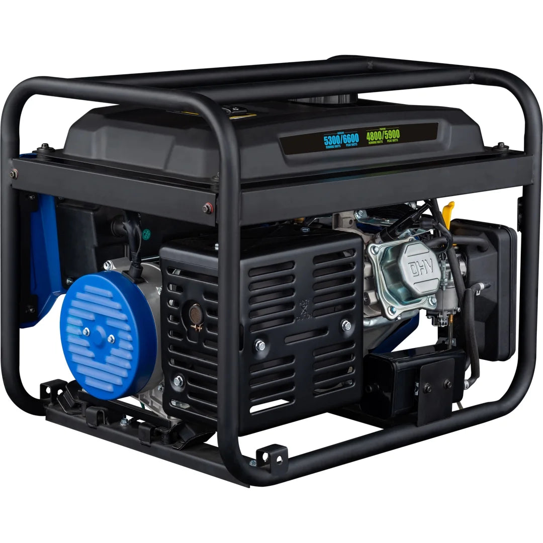 Dual Fuel Portable Generator with Remote Electric Start E1398