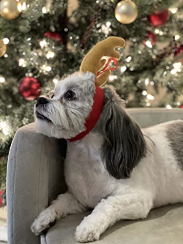Reindeer Antler Dog Halloween Costume M769