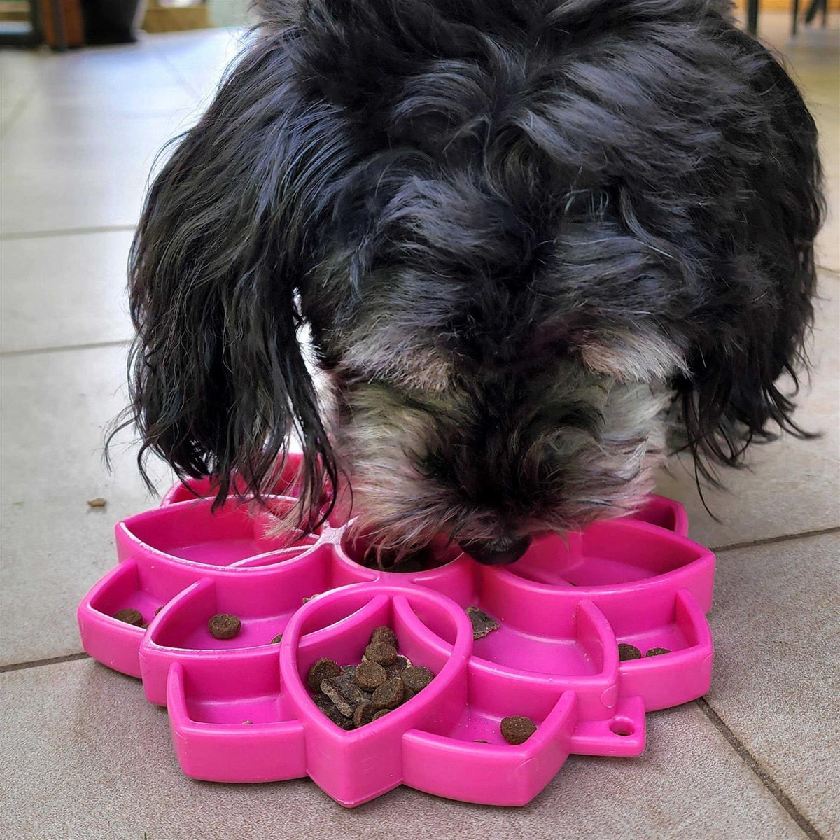 Mandala Design Enrichment Tray for Dogs S990