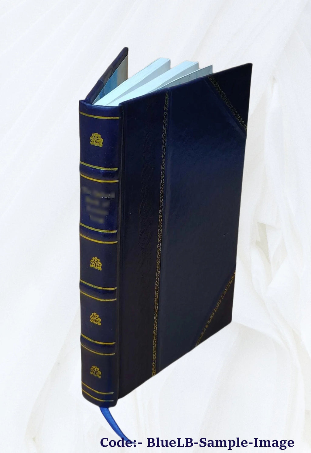 Leather Bound Book H65338
