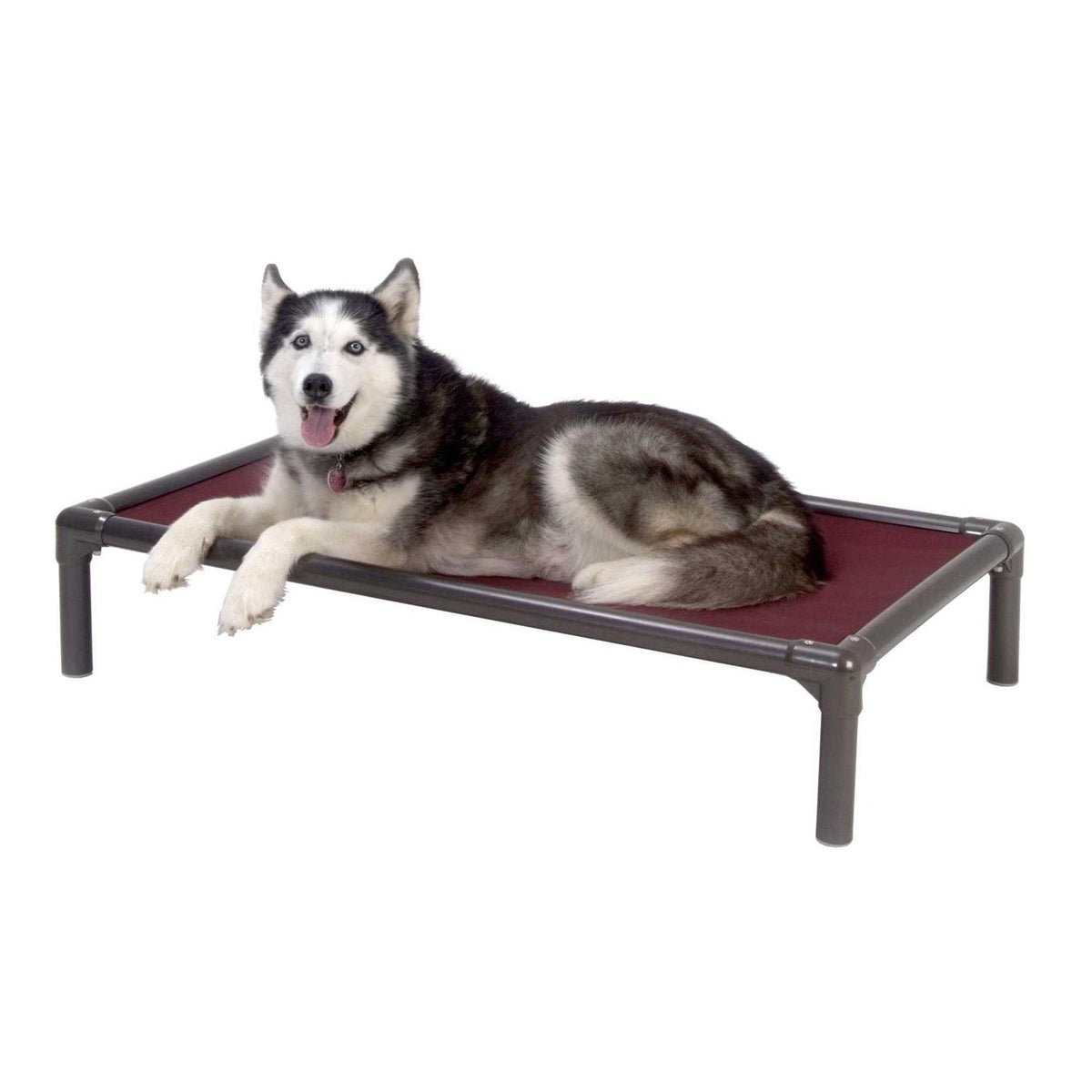 Walnut PVC Chewproof Dog Bed D47114
