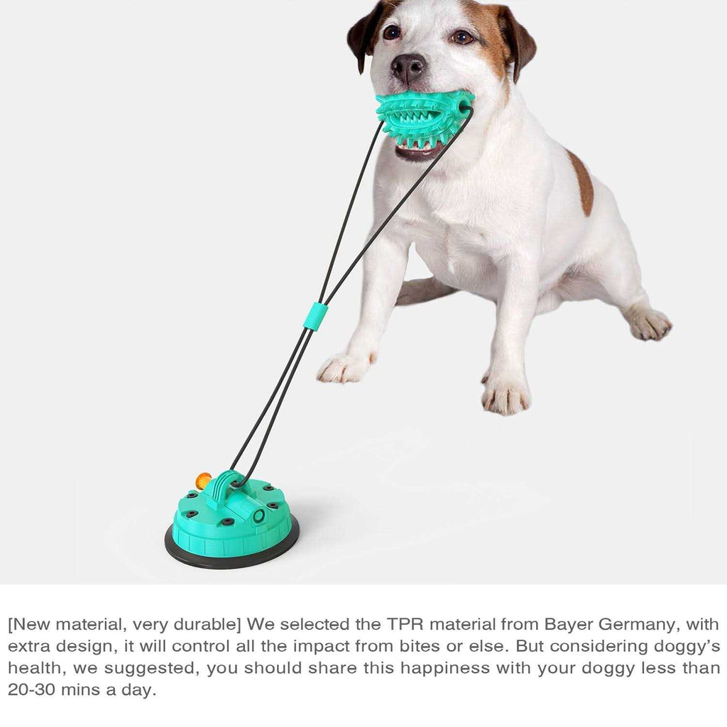 Toothbrush Dog Chew Toy J20494