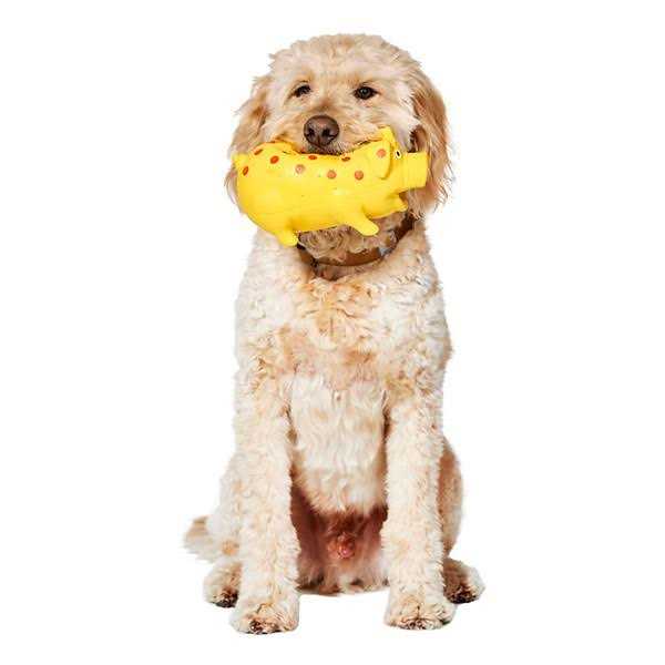 Latex Pig Dog Toy T588856