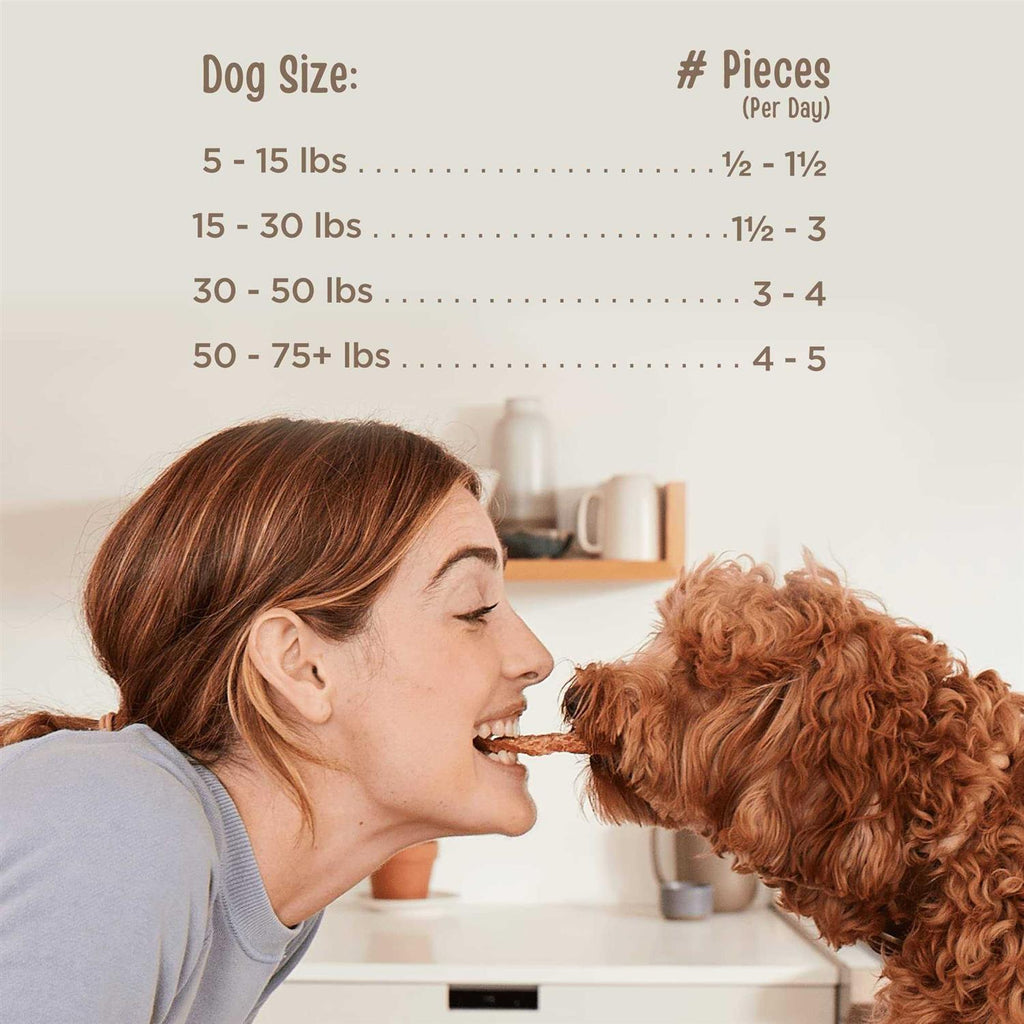 Beef Recipe Dog Treats L10929