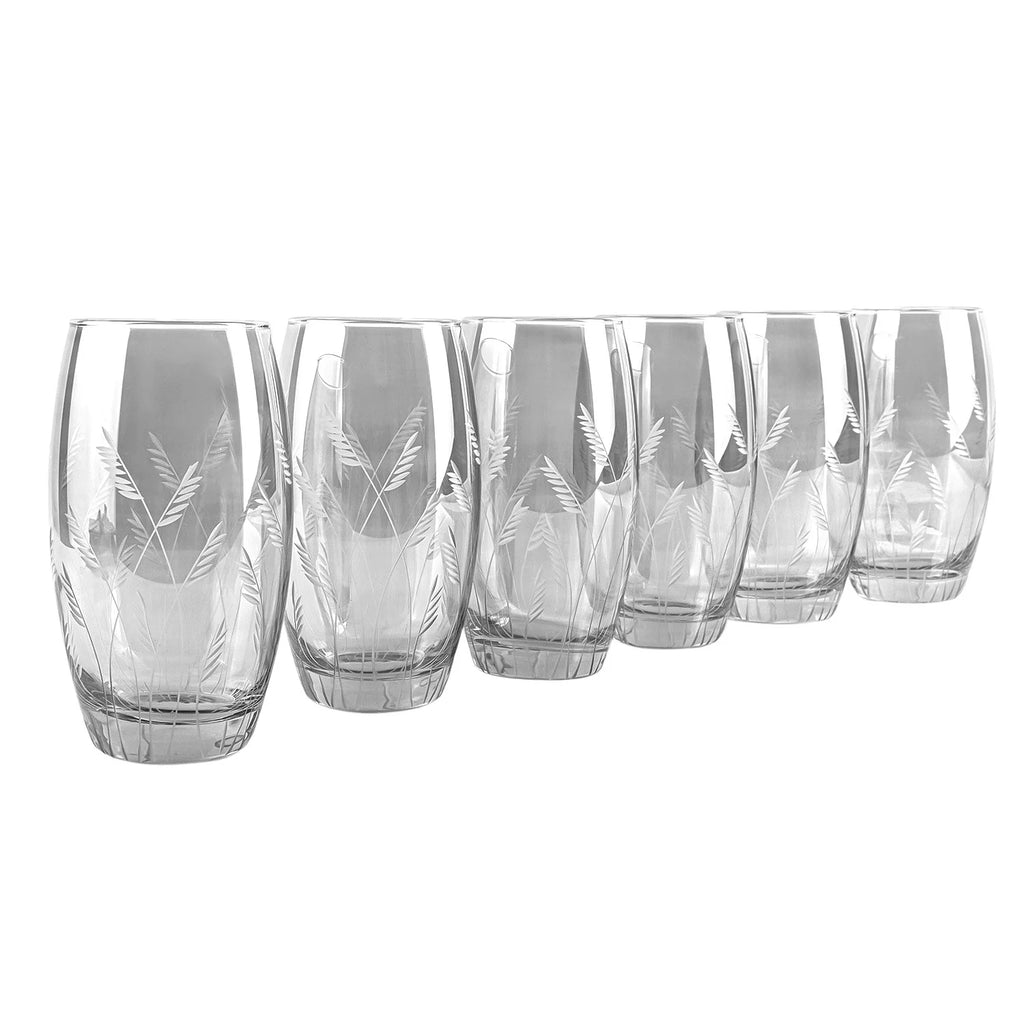 Smoke 16.9 fl oz Drinking Glasses Set of 6 T2884