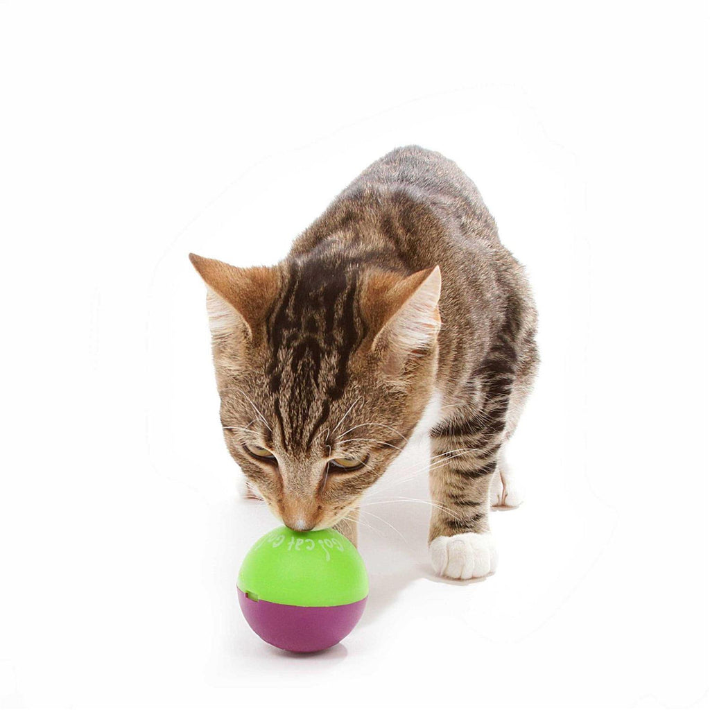 Cat Toy Z57335