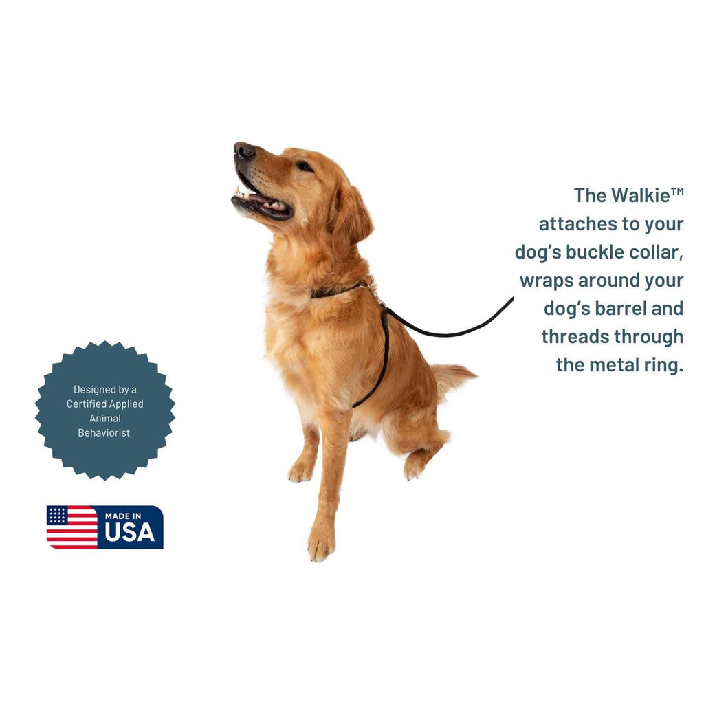 No Pull Dog Leash X517465