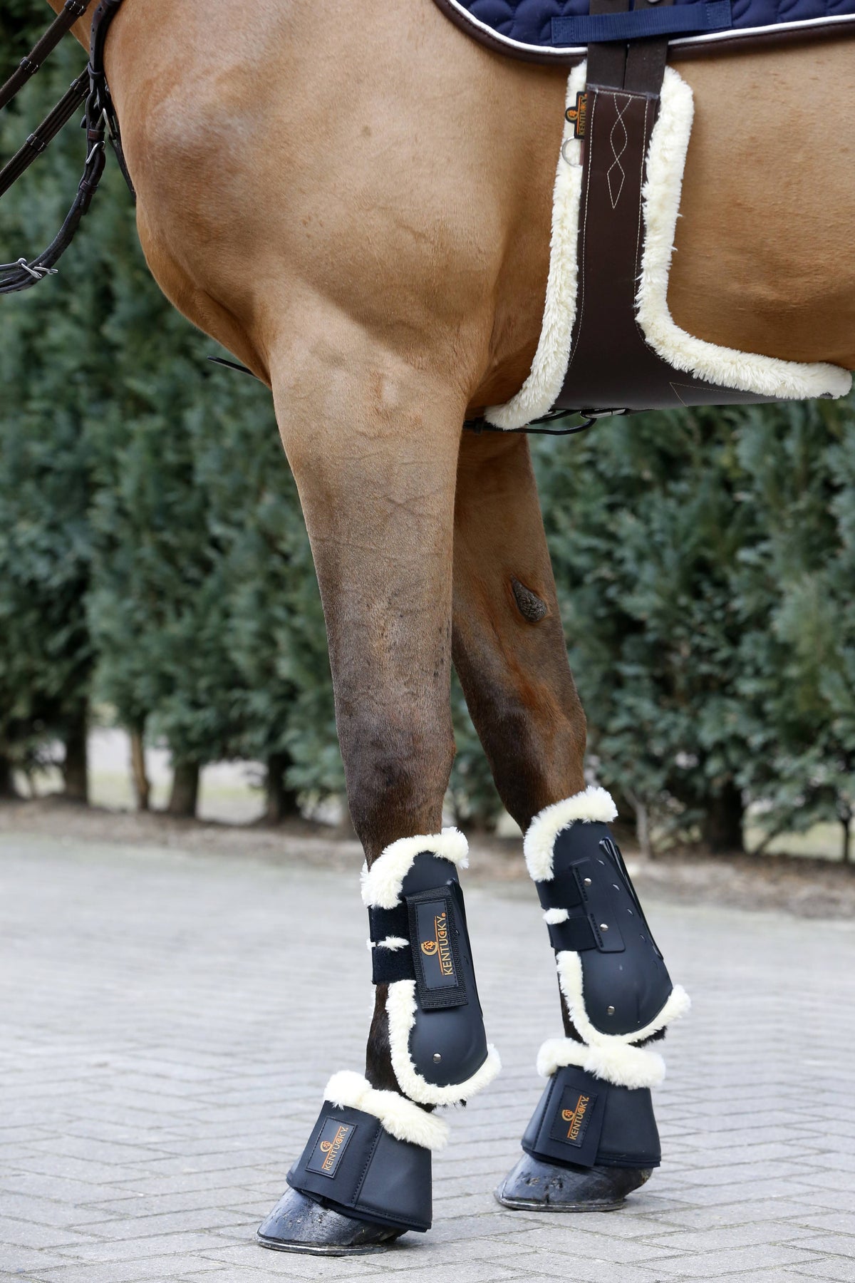 Lambskin Cleat Belt R362541