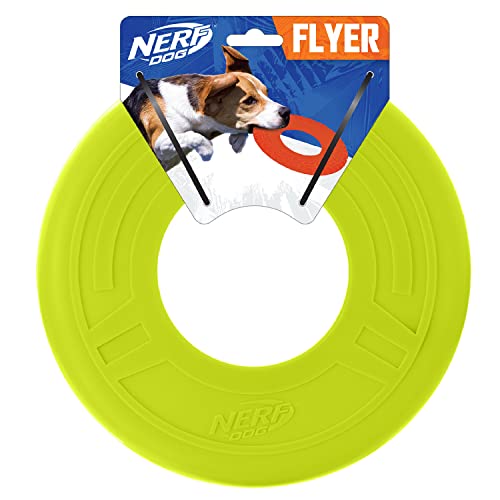 Blue 10 Inch Rubber Flying Disc Dog Toy B4016
