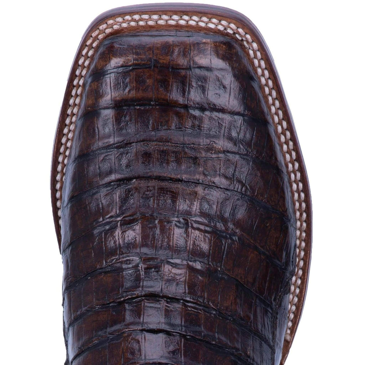 Brown Caiman Boots T51573