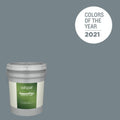 Academy Gray Exterior Paint 5-Gallon S731597