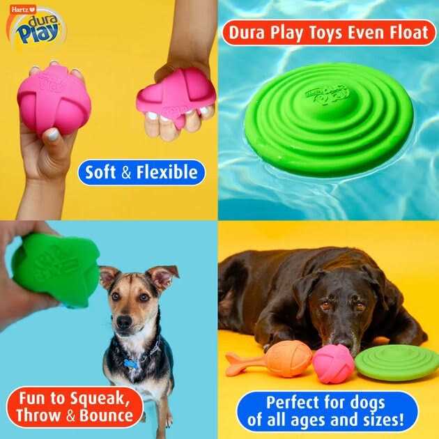 Bacon Scented Dog Toy V940962