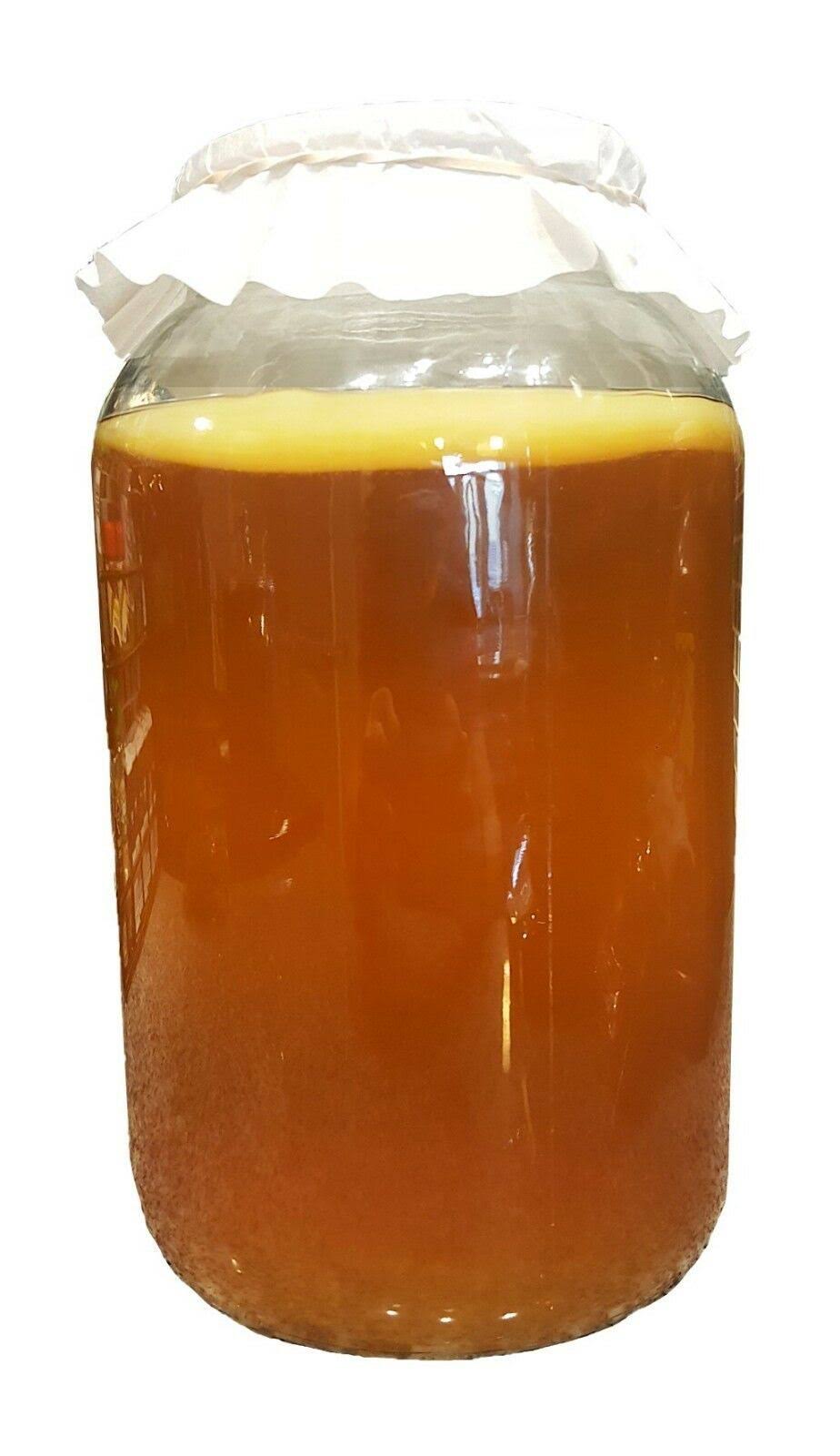 Kombucha Starter Kit with SCOBY, Starter Tea, Organic Sugar, Gallon Glass Jar with Lid T887