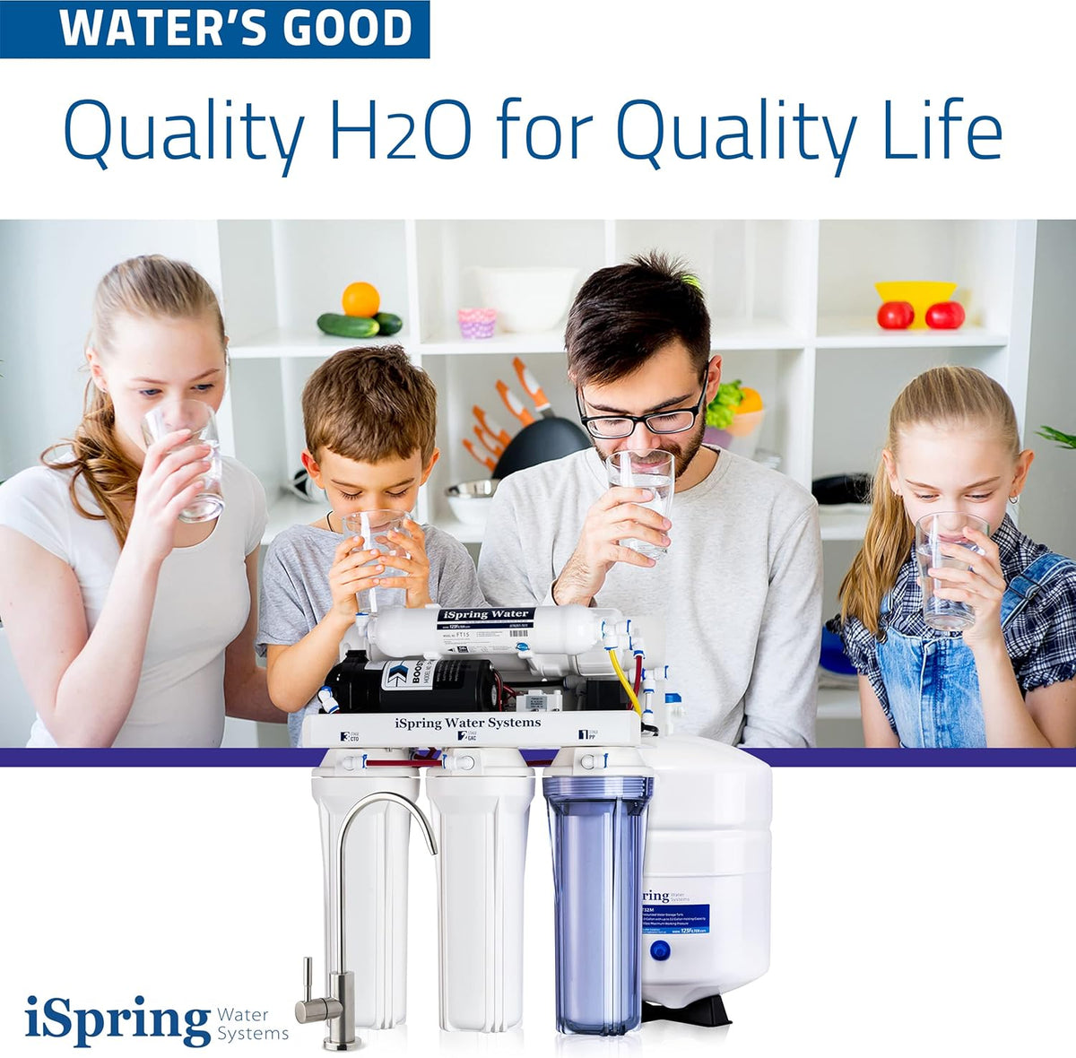 High Capacity 5-Stage Under Sink Reverse Osmosis Water Filter, 100 GPD Y77525