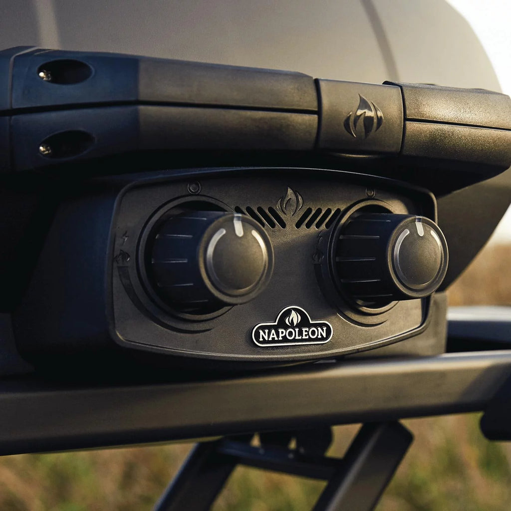 Matte Black Portable Propane Gas Grill B145409