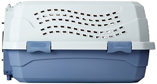 2-Door Top-Load Hard-Sided Pet Travel Carrier, Gray & Blue, 22.8"L x 15.0"W x 13.0"H Z94201