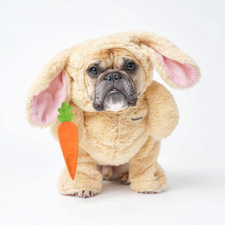 Dog Halloween Costume with Arms for Small and Medium Dogs and Cats B583