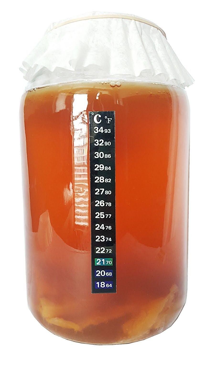 Kombucha Starter Kit with SCOBY, Starter Tea, Organic Sugar, Gallon Glass Jar with Lid T887