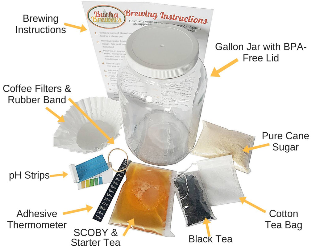 Kombucha Starter Kit with SCOBY, Starter Tea, Organic Sugar, Gallon Glass Jar with Lid T887