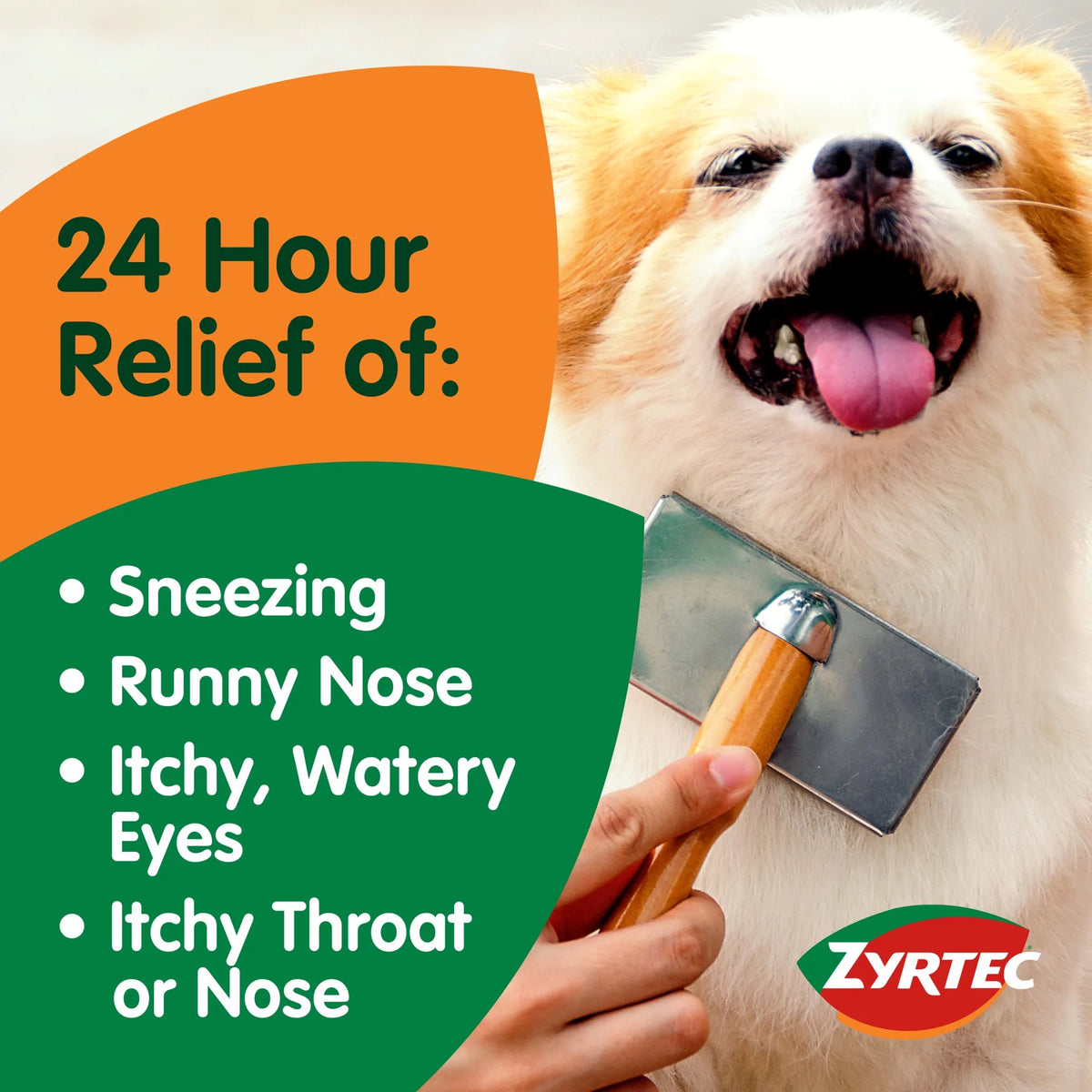 24 Hour Allergy Relief Tablets, 30+10 Ct A8146