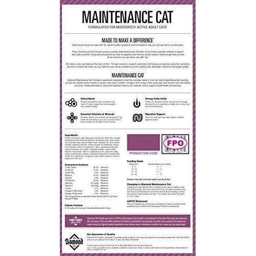 Dry Cat Food P30710