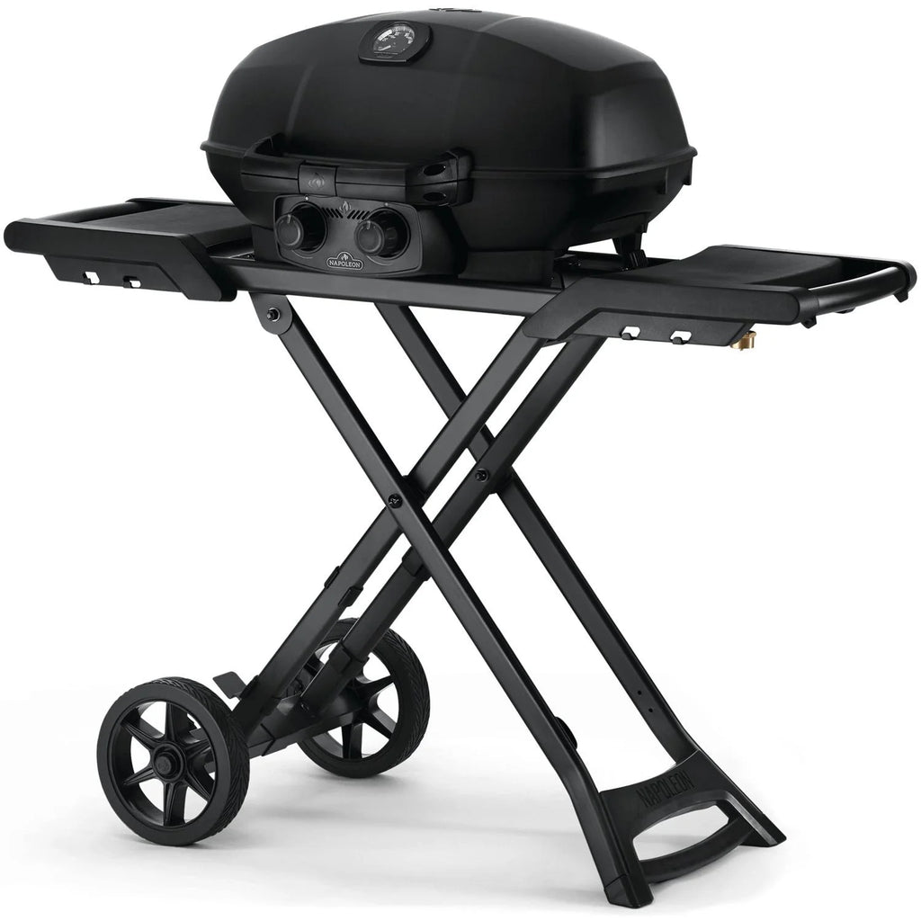 Matte Black Portable Propane Gas Grill B145409