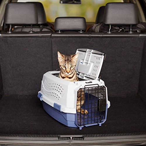 2-Door Top-Load Hard-Sided Pet Travel Carrier, Gray & Blue, 22.8"L x 15.0"W x 13.0"H Z94201