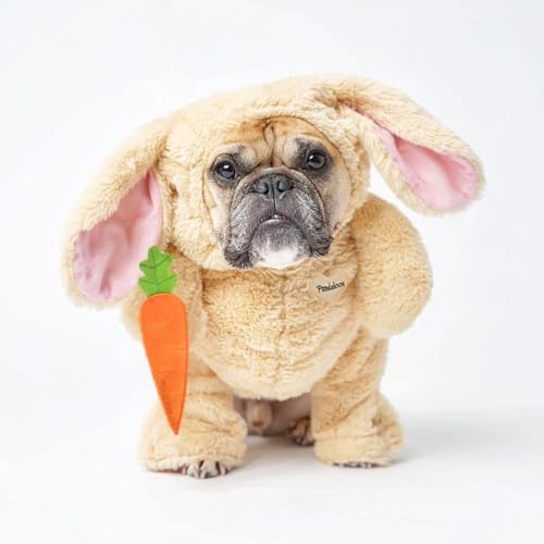 Dog Halloween Costume with Arms for Small and Medium Dogs and Cats B583