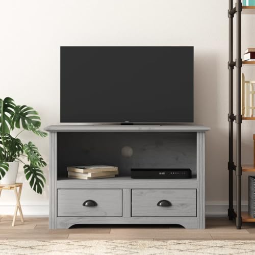 Gray Solid Wood Pine TV Stand with 2 Drawers L96651
