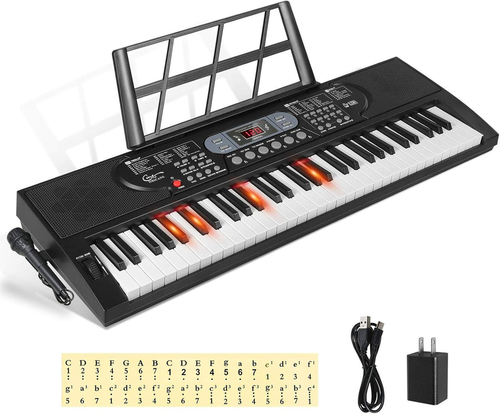 61 Key Lighted Keys Electronic Keyboard Piano with Microphone K16892