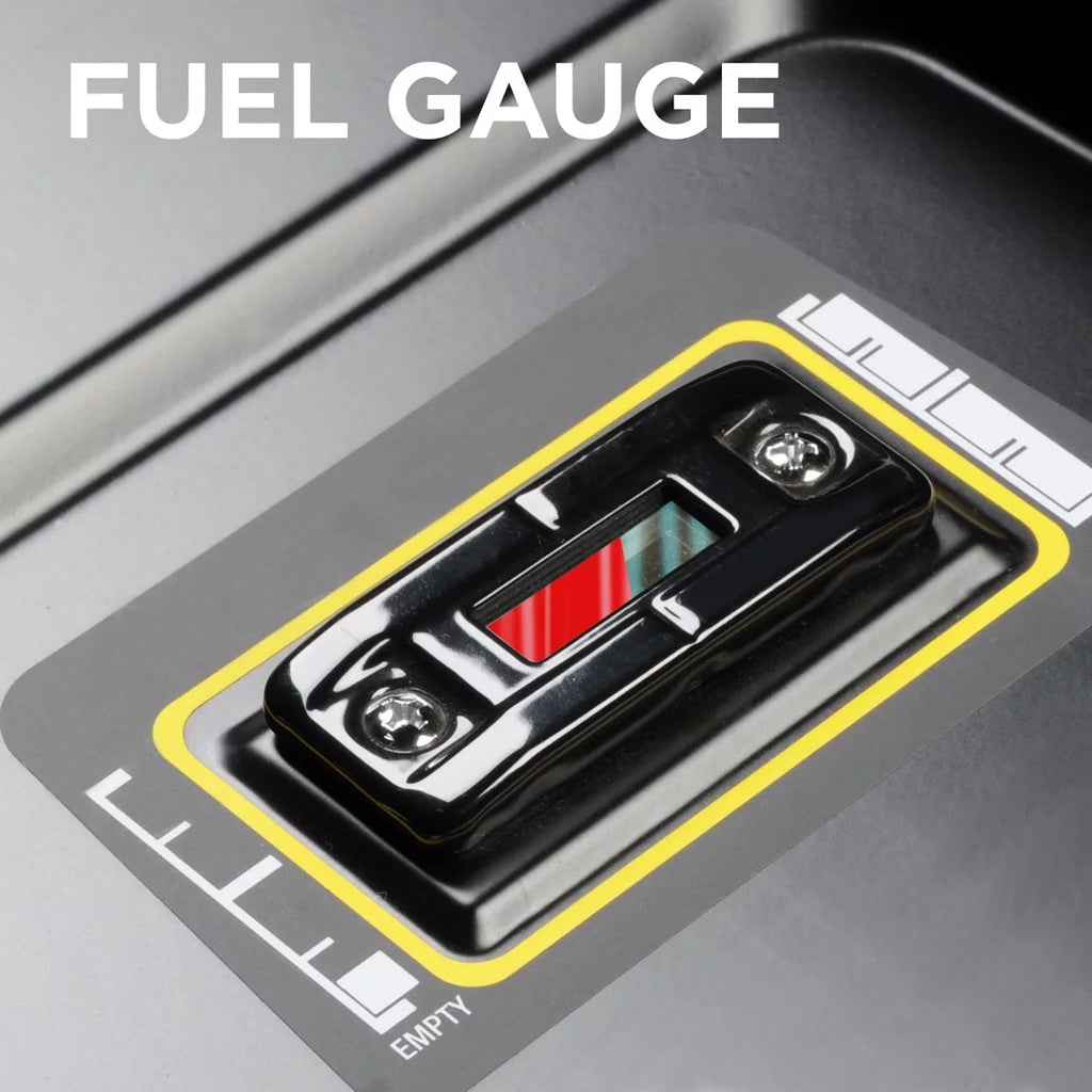 Dual Fuel Portable Generator with Remote Electric Start E1398
