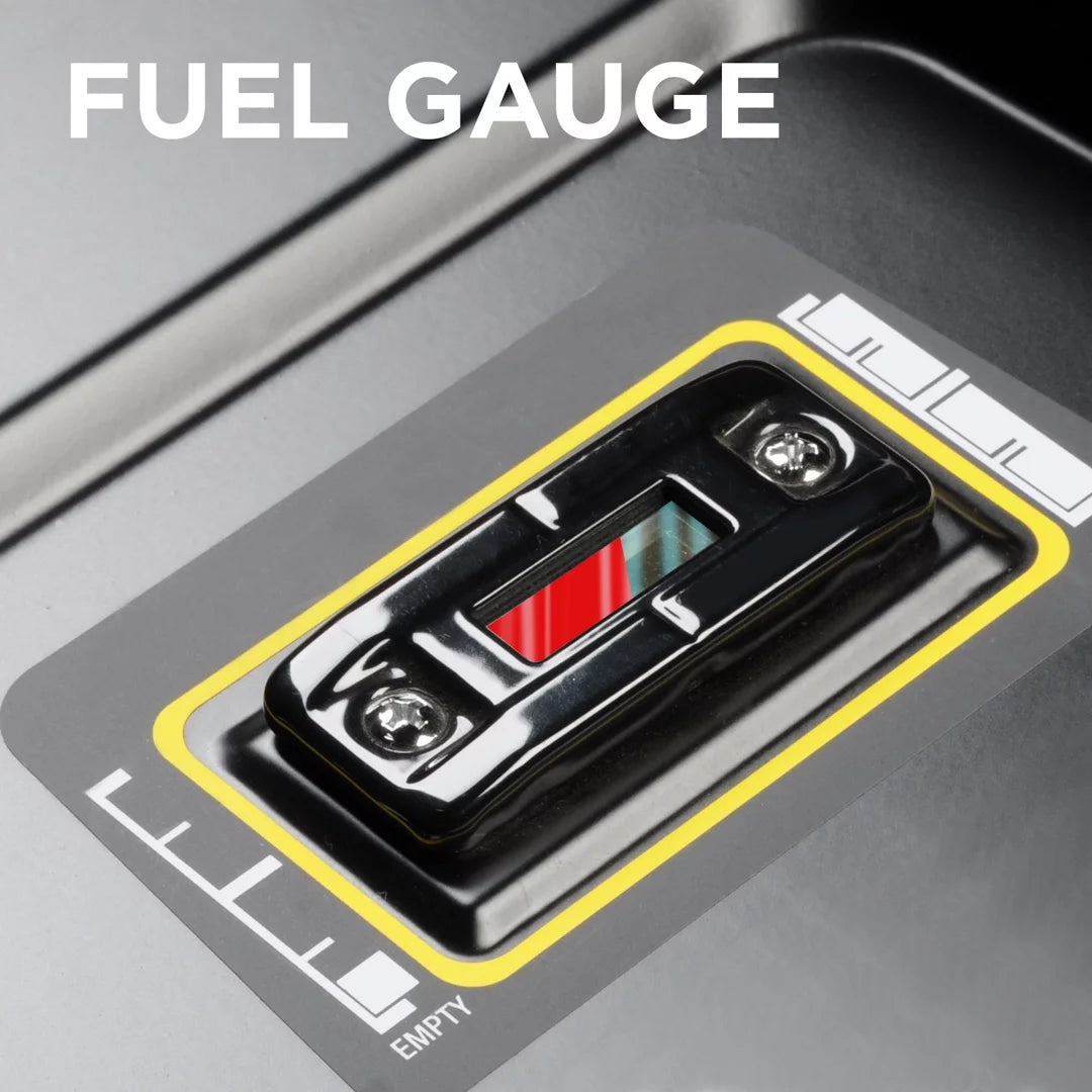 Dual Fuel Portable Generator with Remote Electric Start E1398