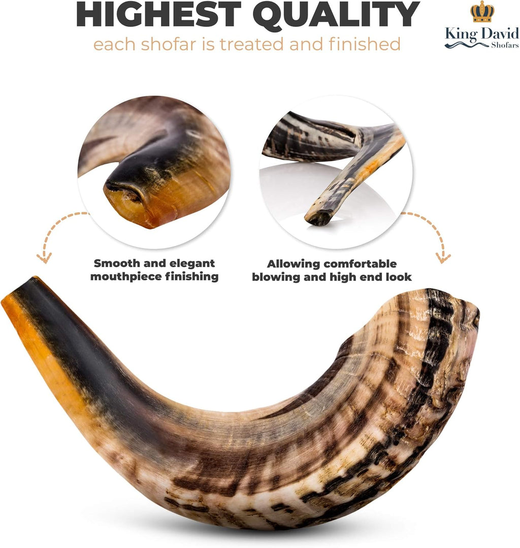 Shofar Horn Instrument Pack of 2 E39093
