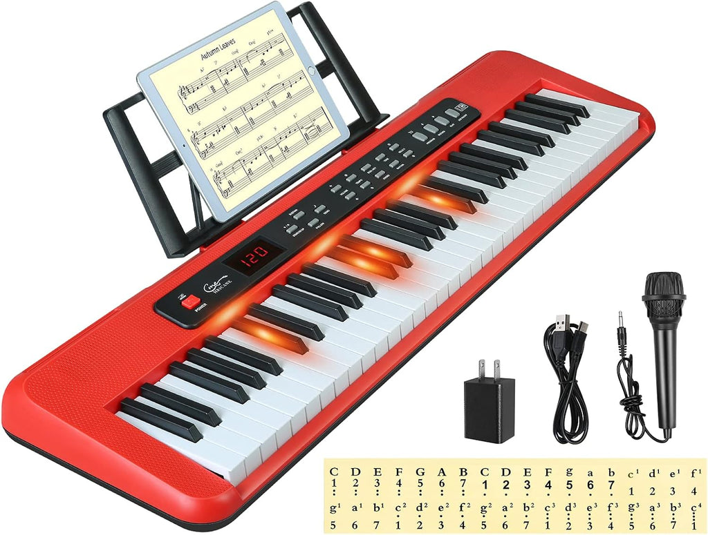 61 Key Lighted Keys Electronic Keyboard Piano with Microphone K16892