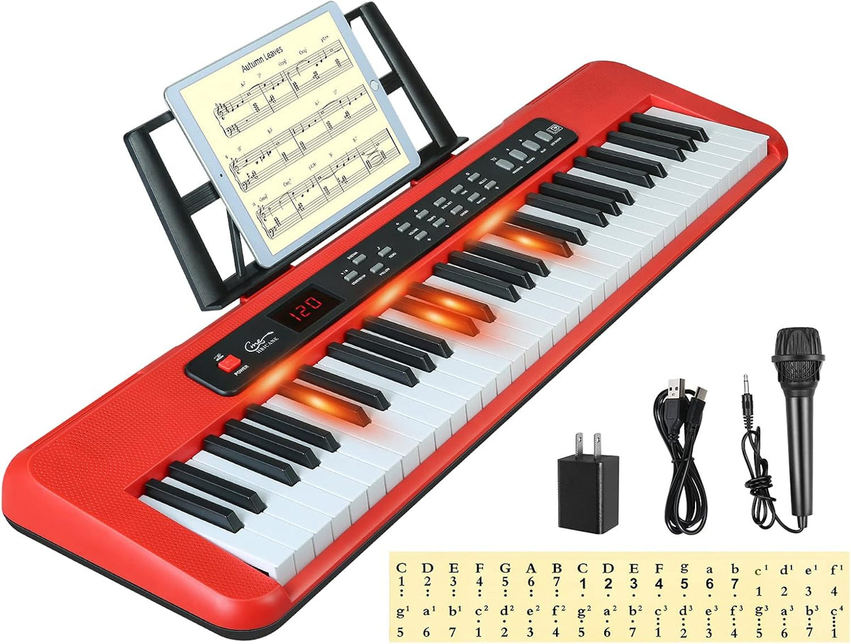 61 Key Lighted Keys Electronic Keyboard Piano with Microphone K16892