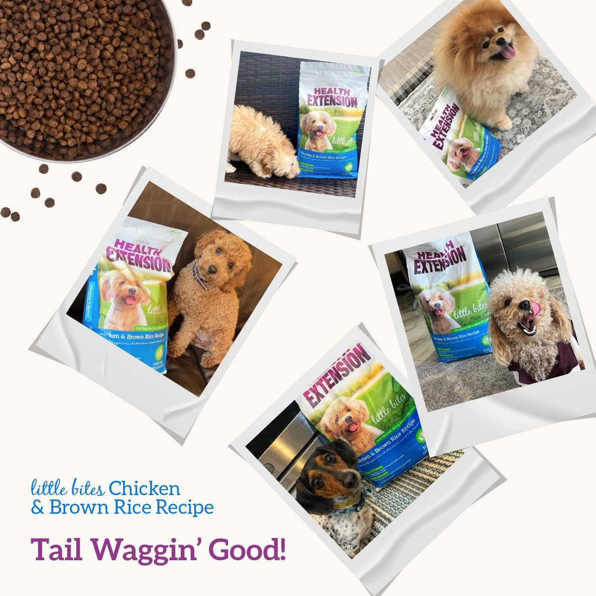 Chicken & Brown Rice Dry Dog Food G3091