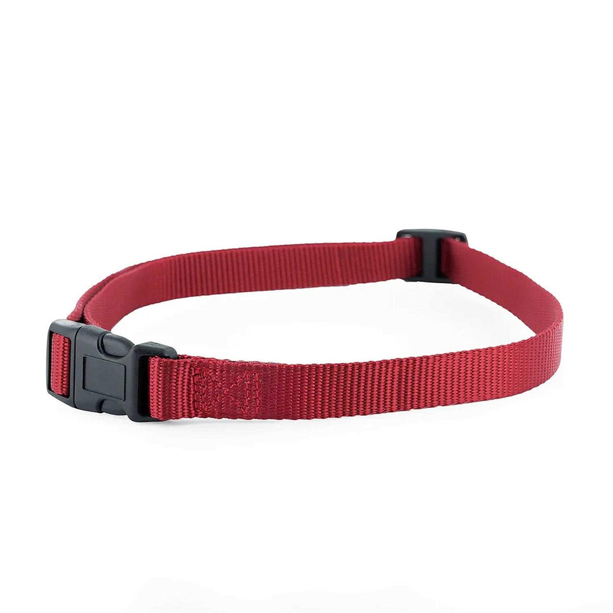 Replacement Collar Strap W677