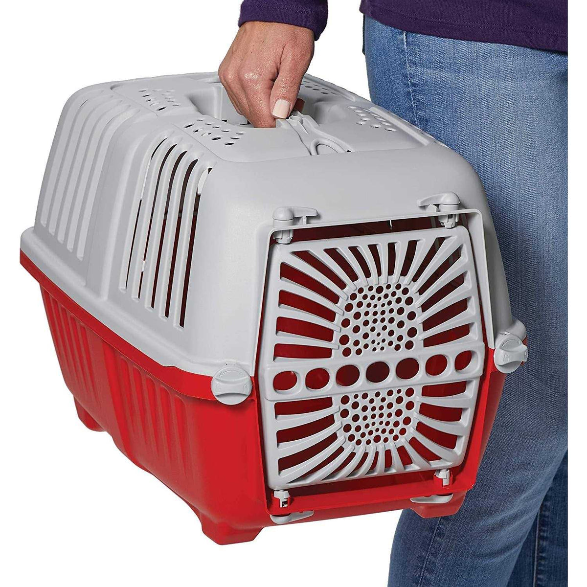 Plastic Door Travel Carrier Pet Kennel F3689