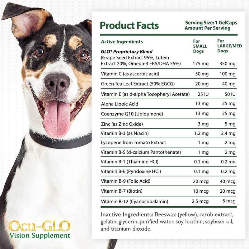 Vision Supplement for Small Dogs V553649